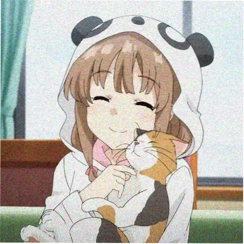 观众夜行的猫的头像